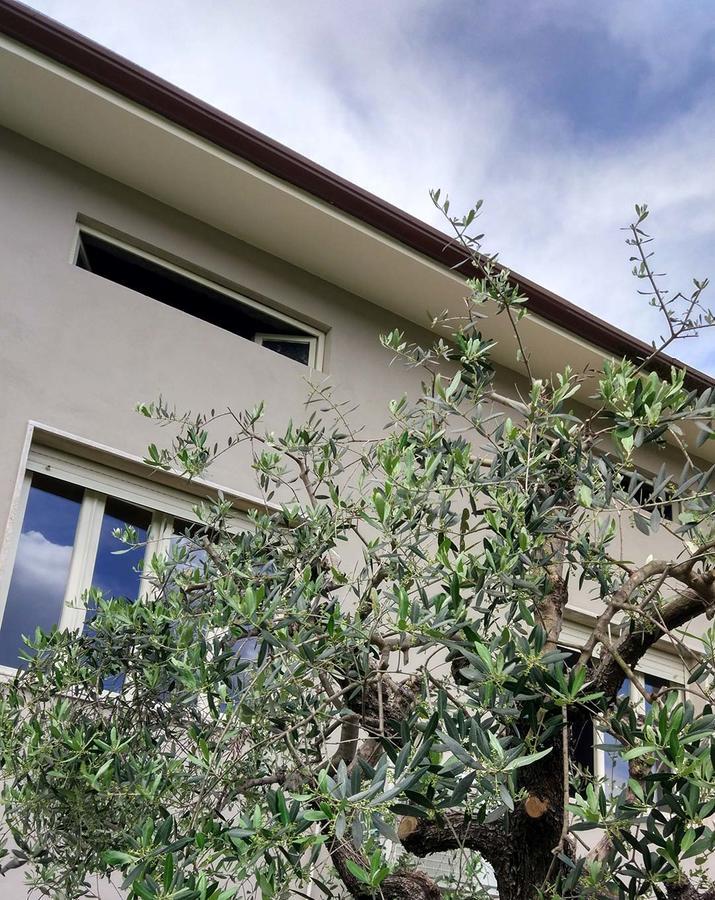 La Locanda Francigena Bed & Breakfast Lucca Exterior photo